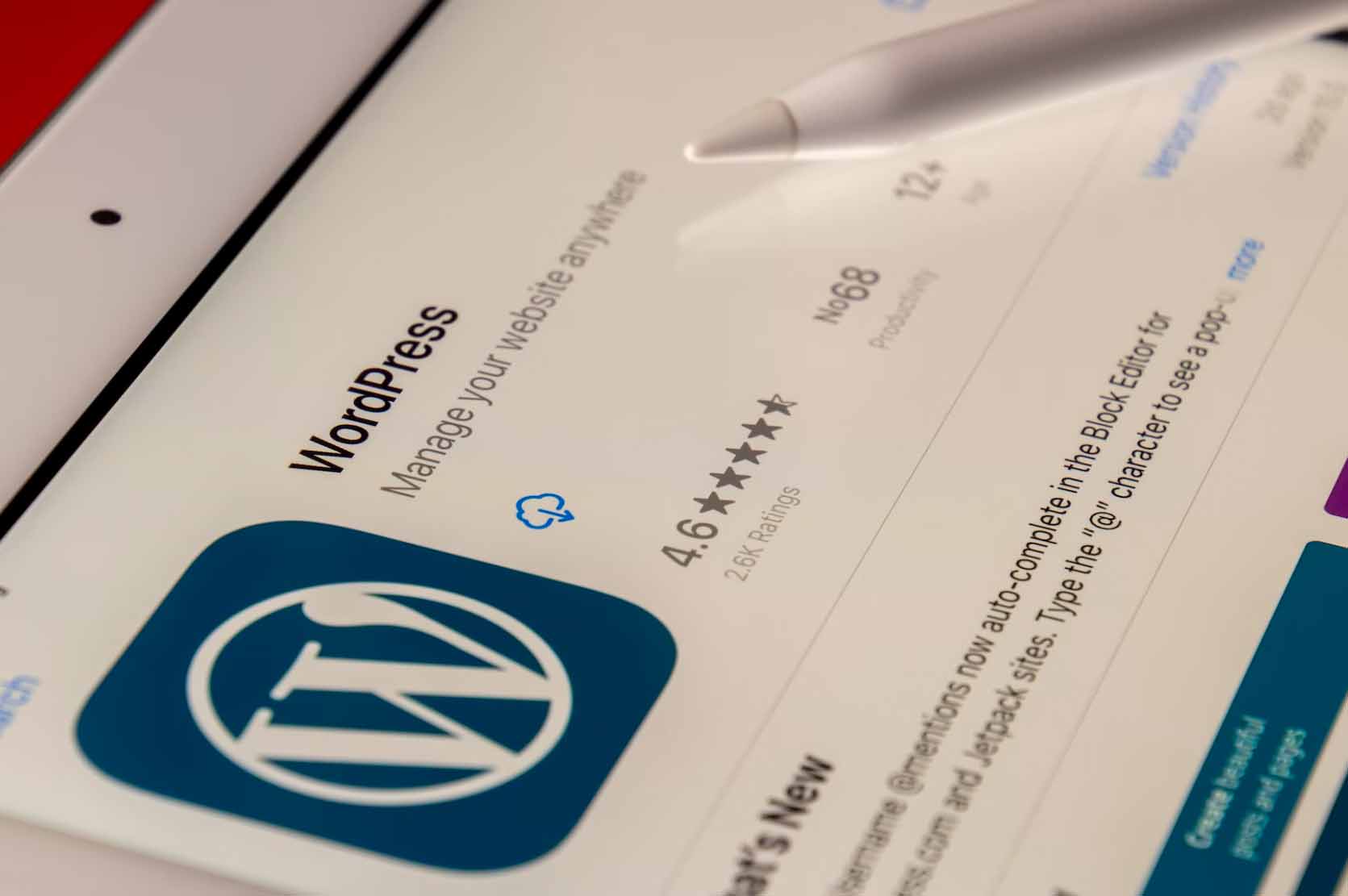 wordpress-agency-chicago